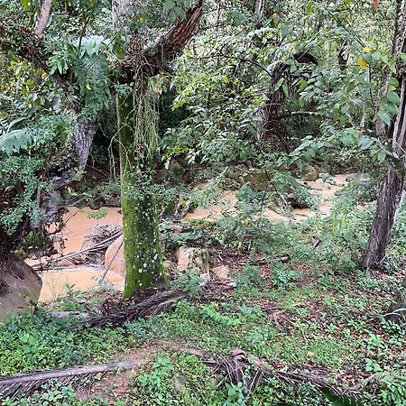 Casona El Retiro Baricharaアパートメント エクステリア 写真