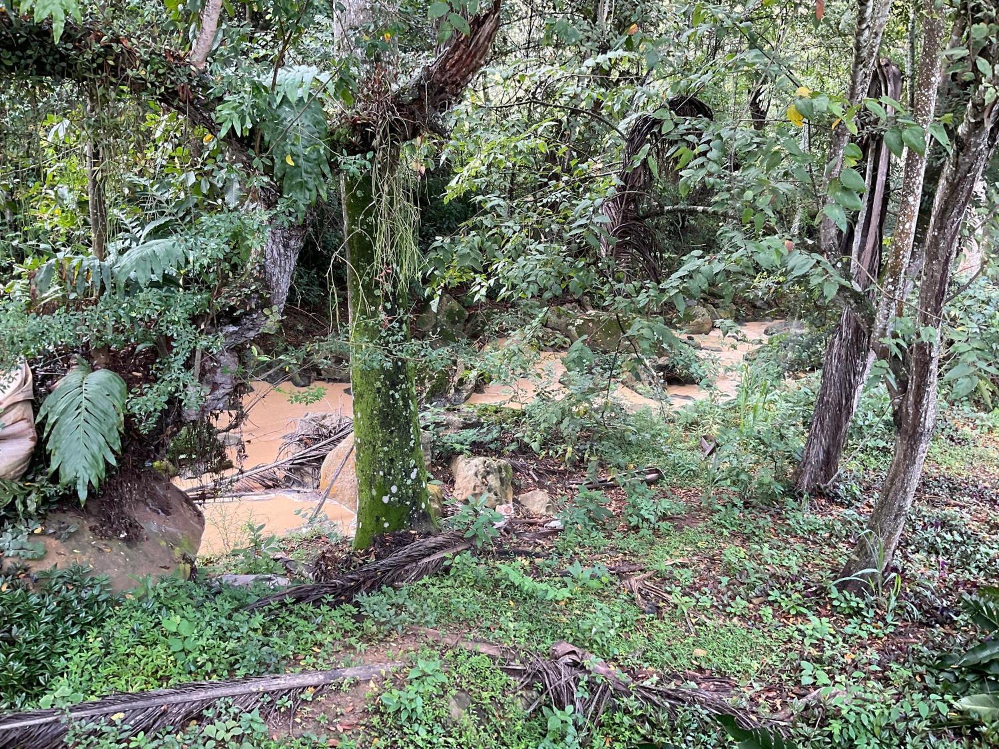 Alojamiento El Retiro Barichara バリチャラ エクステリア 写真
