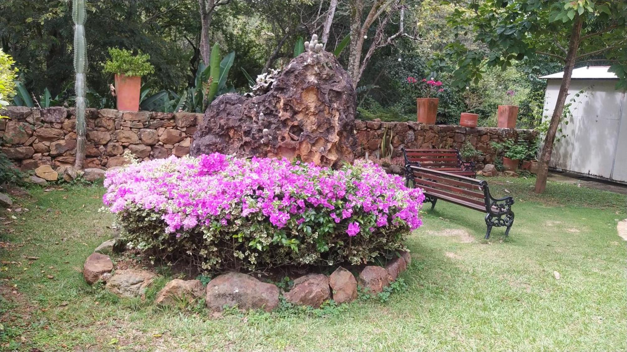 Alojamiento El Retiro Barichara バリチャラ エクステリア 写真